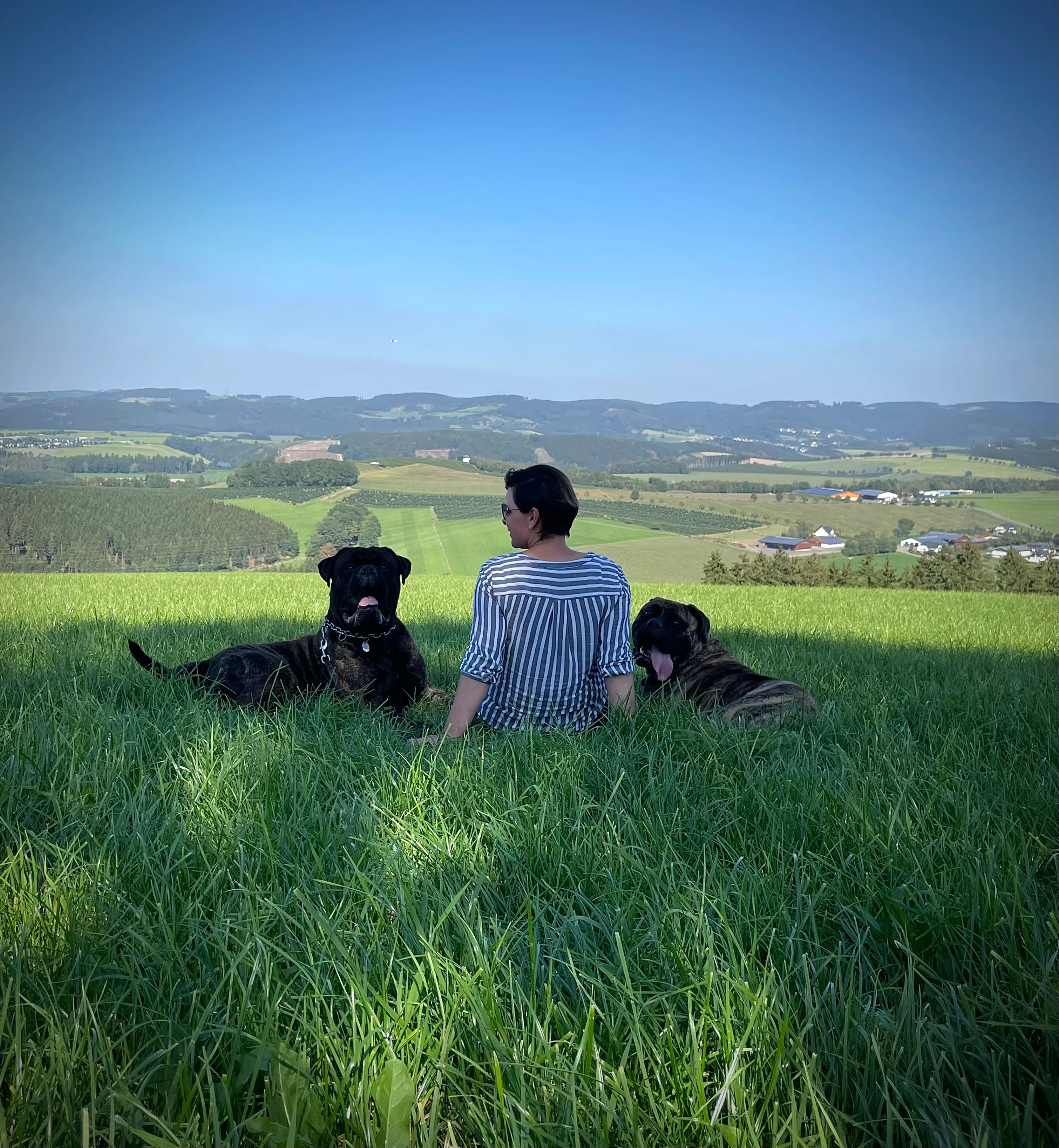 Katarina Ringsdorff sitzt mit zwei Bullmastiffs auf einer Wiese