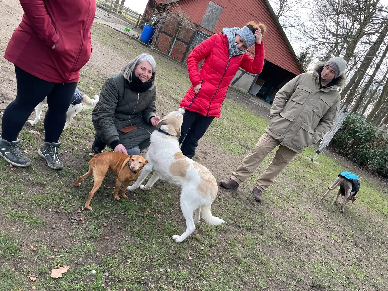 Eindruck 8 aus der Hunderbar Hundetrainer-Ausbildung