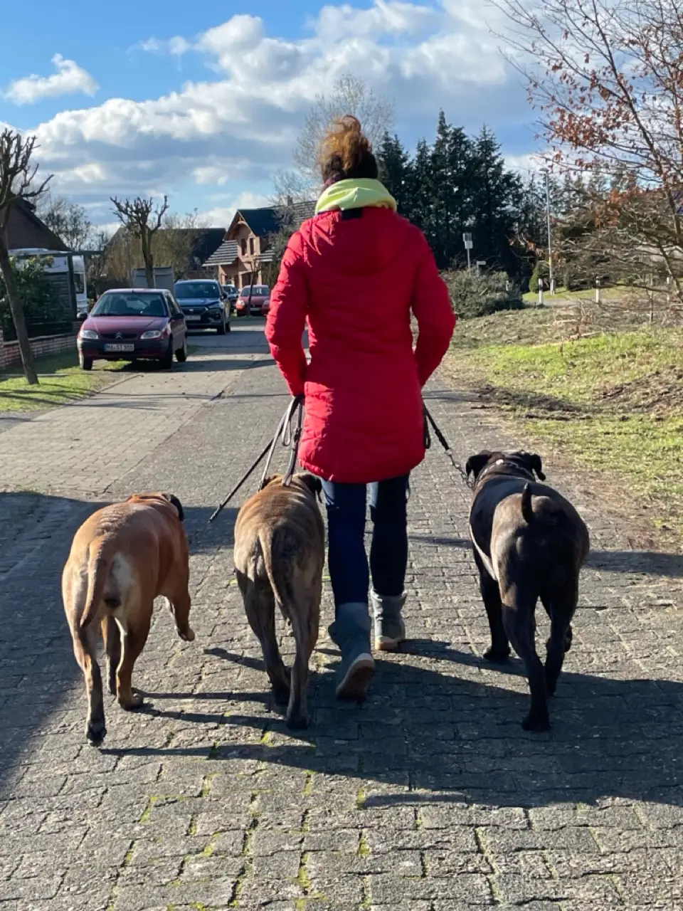 Eindruck 11 aus der Hunderbar Hundetrainer-Ausbildung