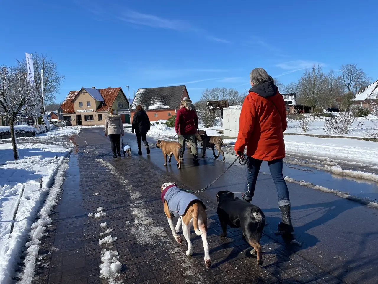 Eindruck 12 aus der Hunderbar Hundetrainer-Ausbildung