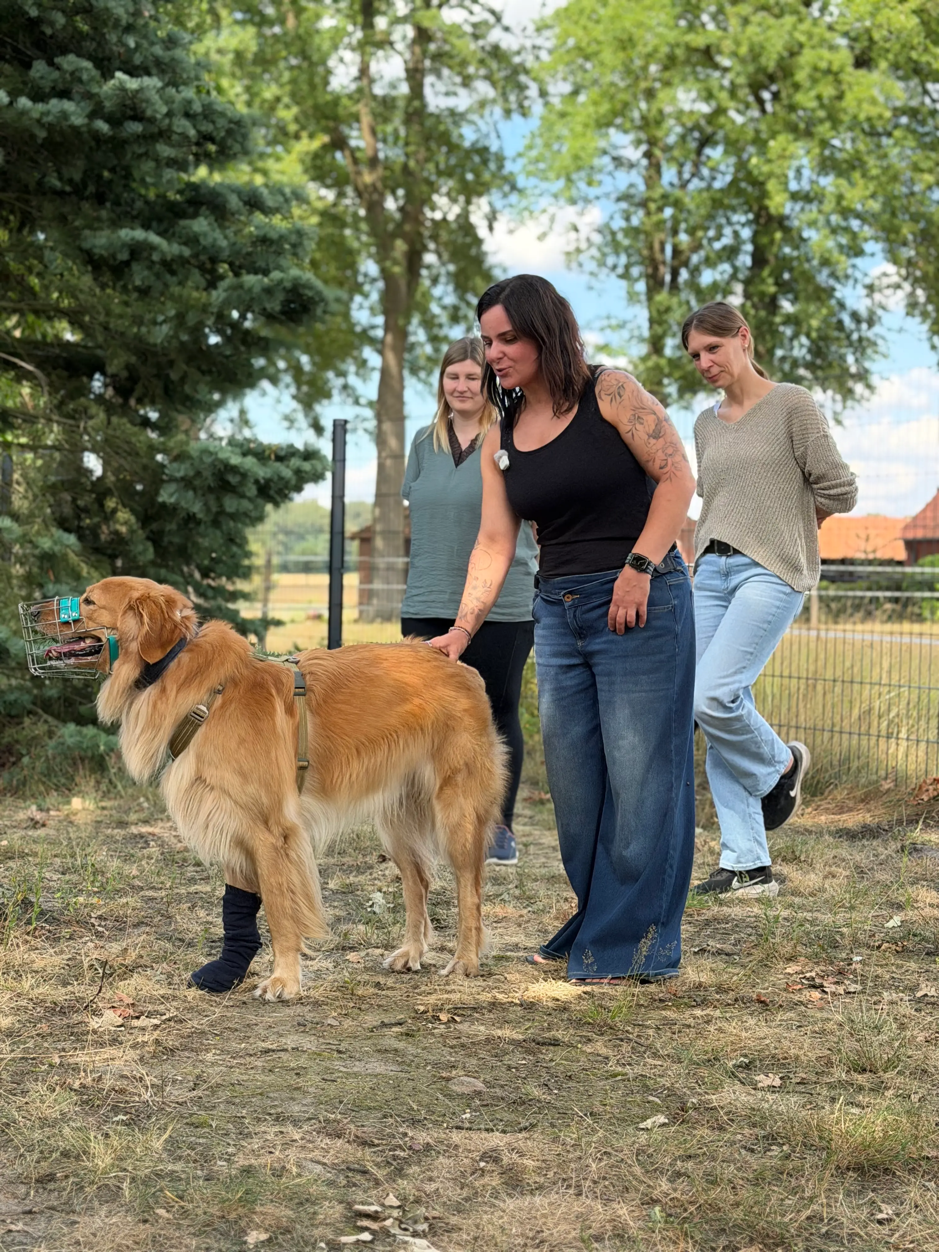Katarina Ringsdorff demonstriert Azubis die praktische Arbeit mit einem Golden Retriever