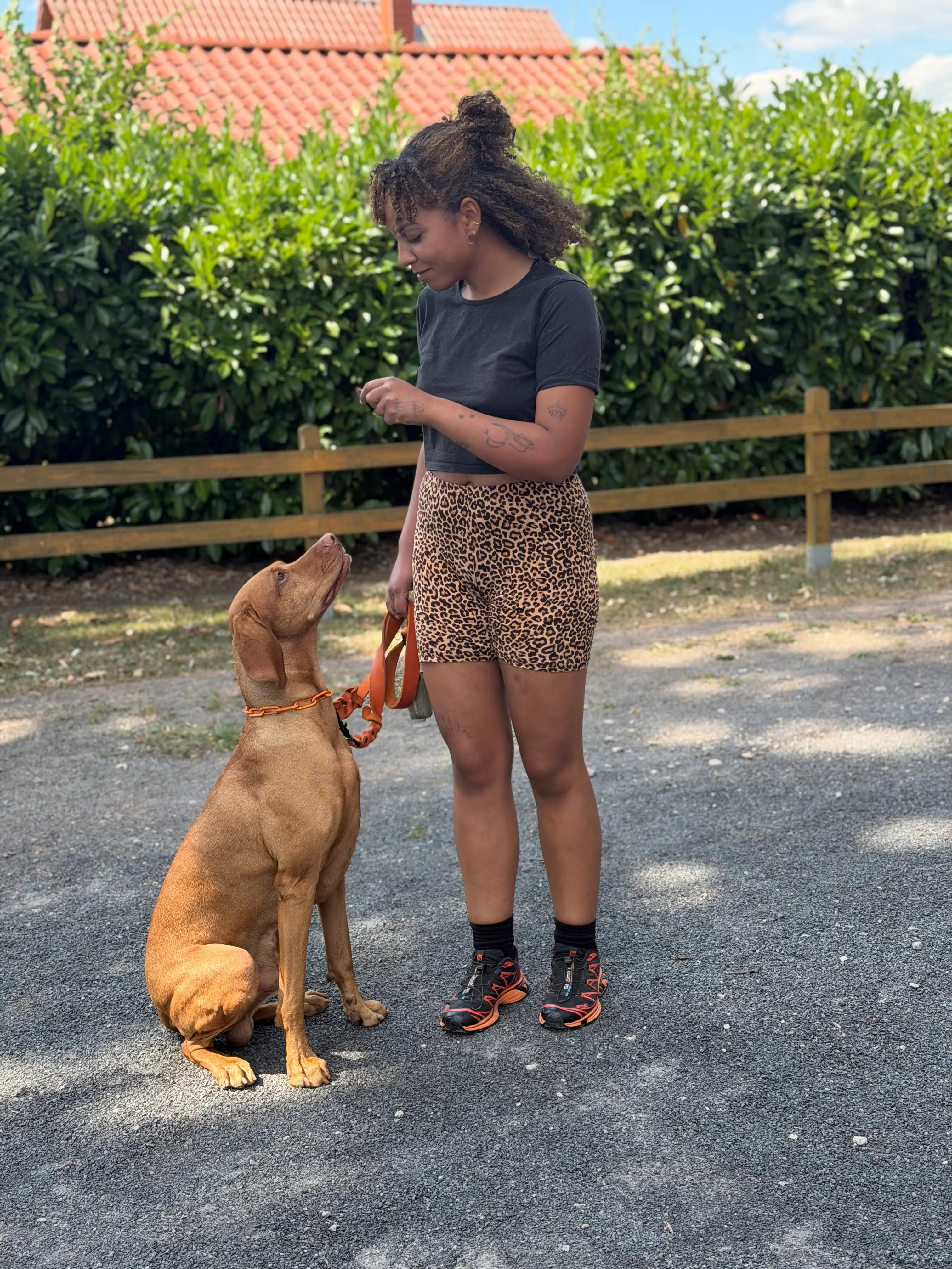 Blickkontakt zwischen Azubi und Vizsla – Erfolgsmoment in der Hundetrainer-Ausbildung bei Nienburg