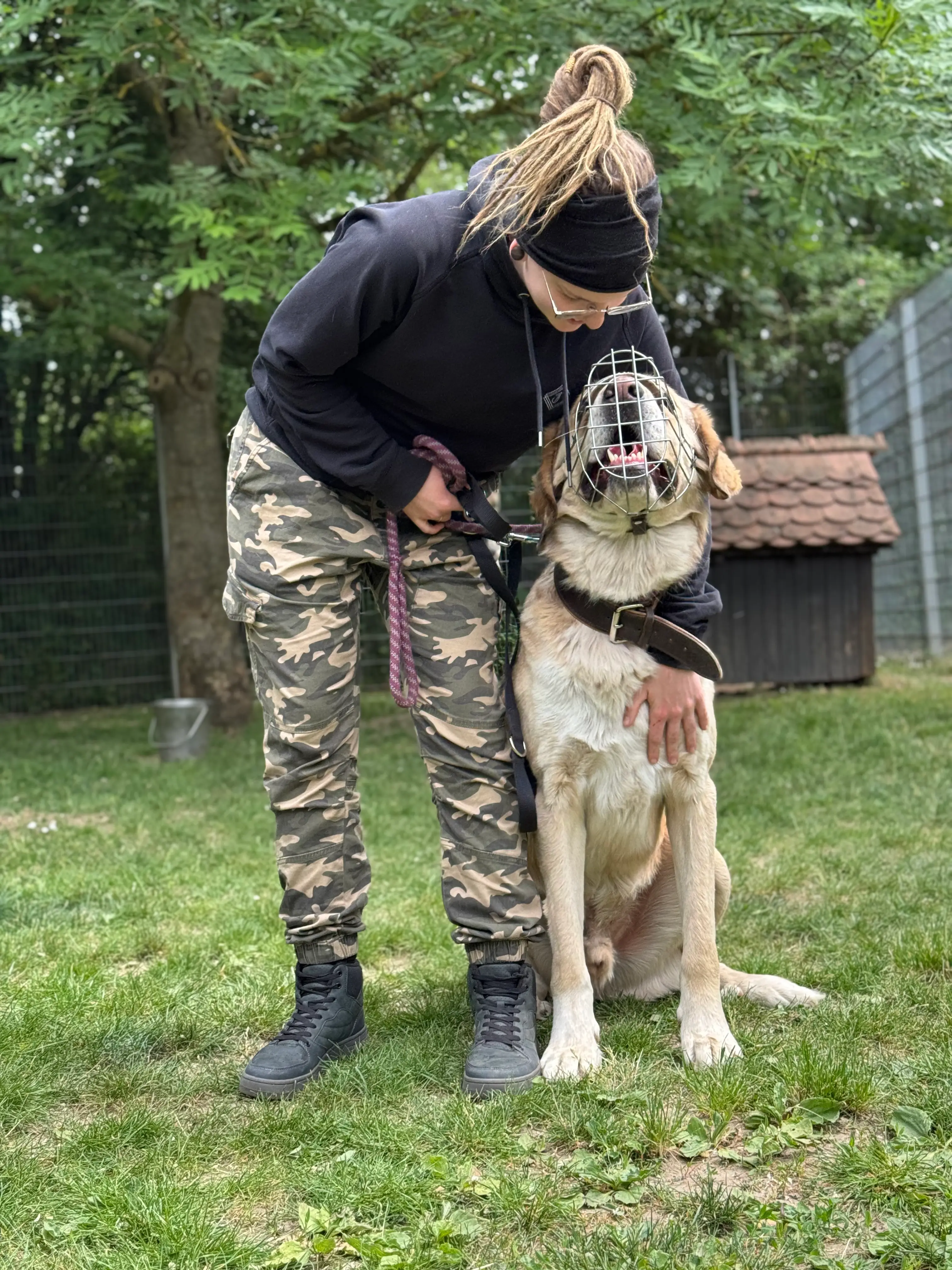 Eindruck 14 aus der Hunderbar Hundetrainer-Ausbildung