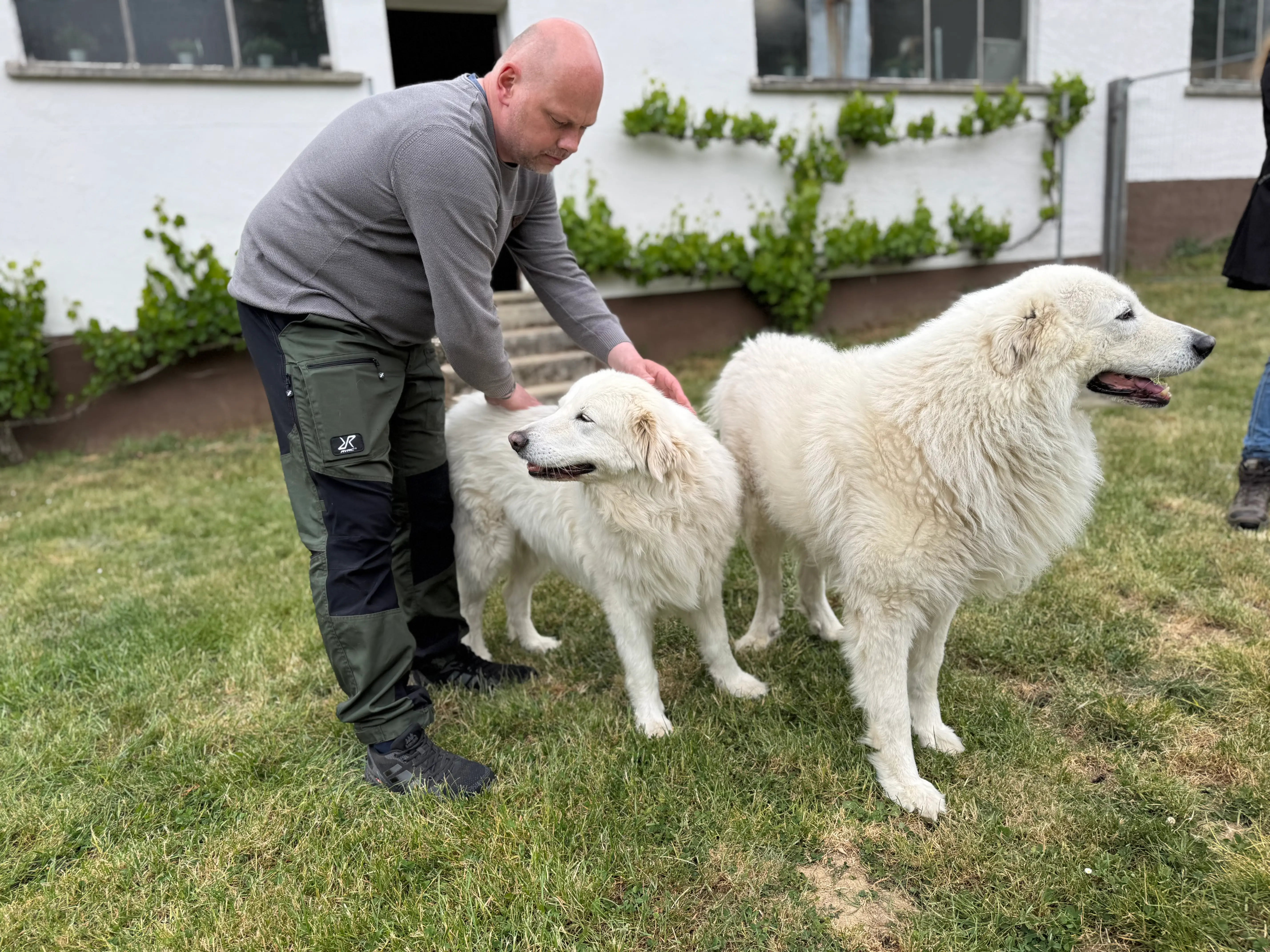 Eindruck 16 aus der Hunderbar Hundetrainer-Ausbildung