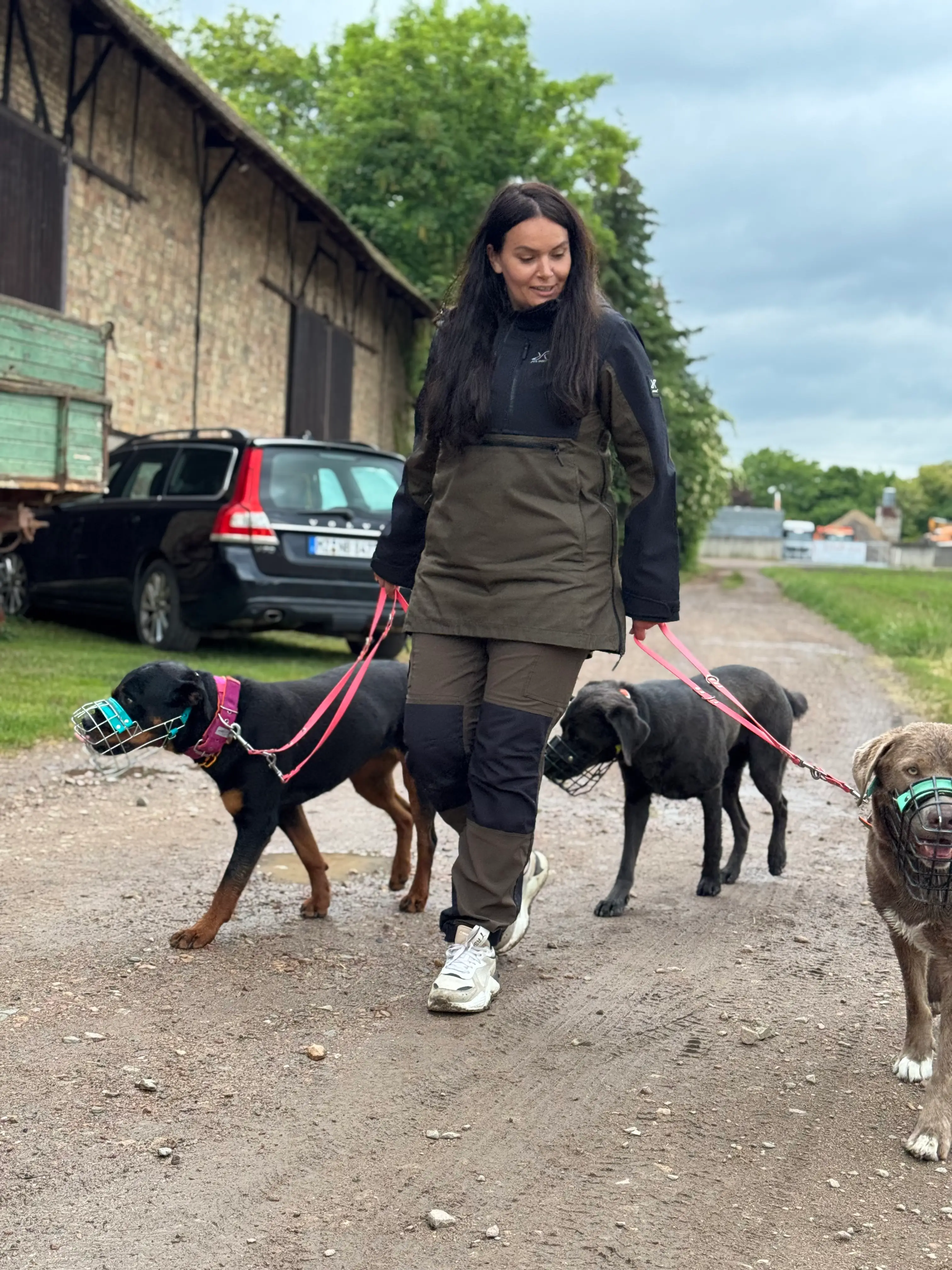 Eindruck 18 aus der Hunderbar Hundetrainer-Ausbildung