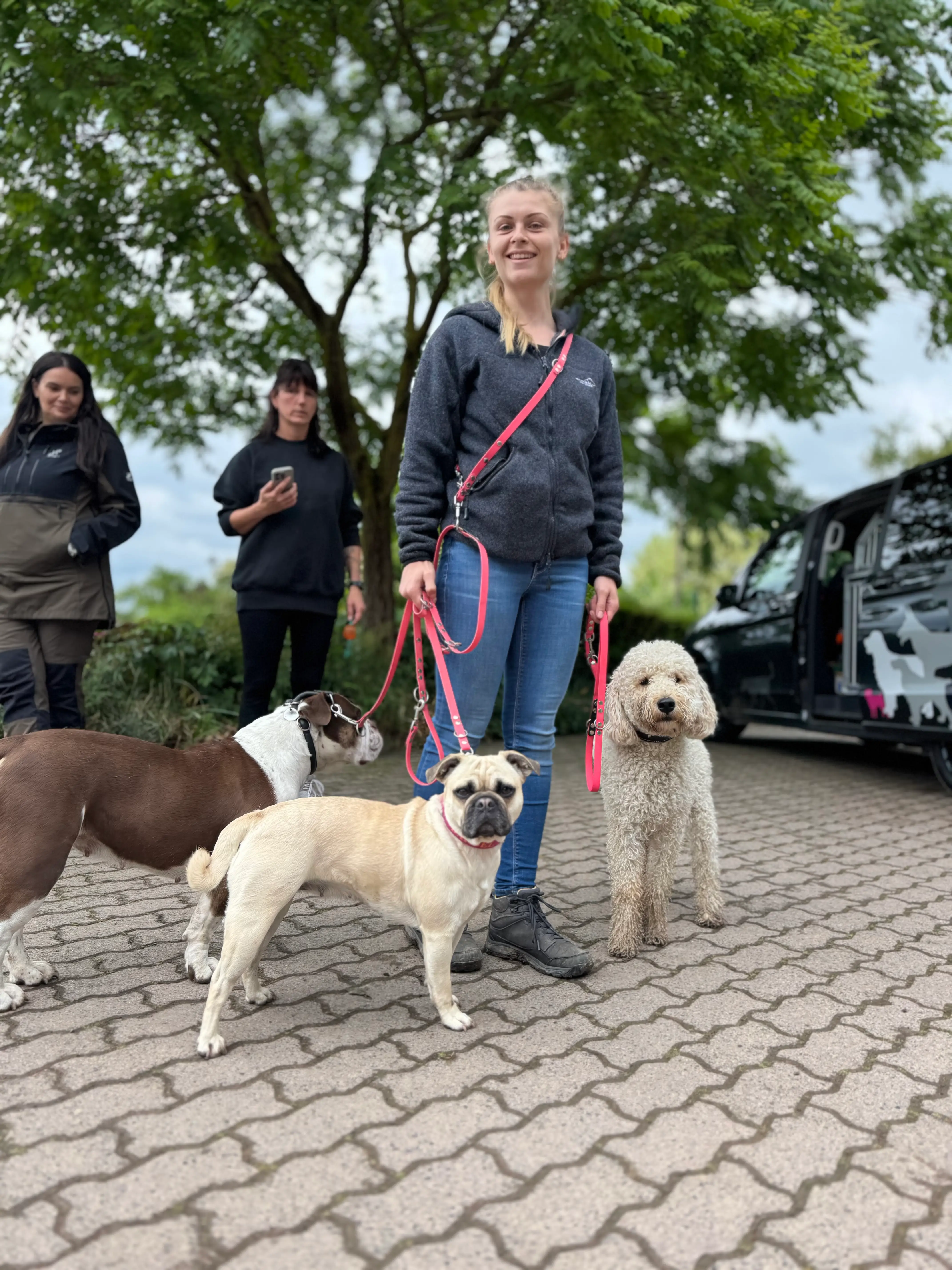 Eindruck 19 aus der Hunderbar Hundetrainer-Ausbildung