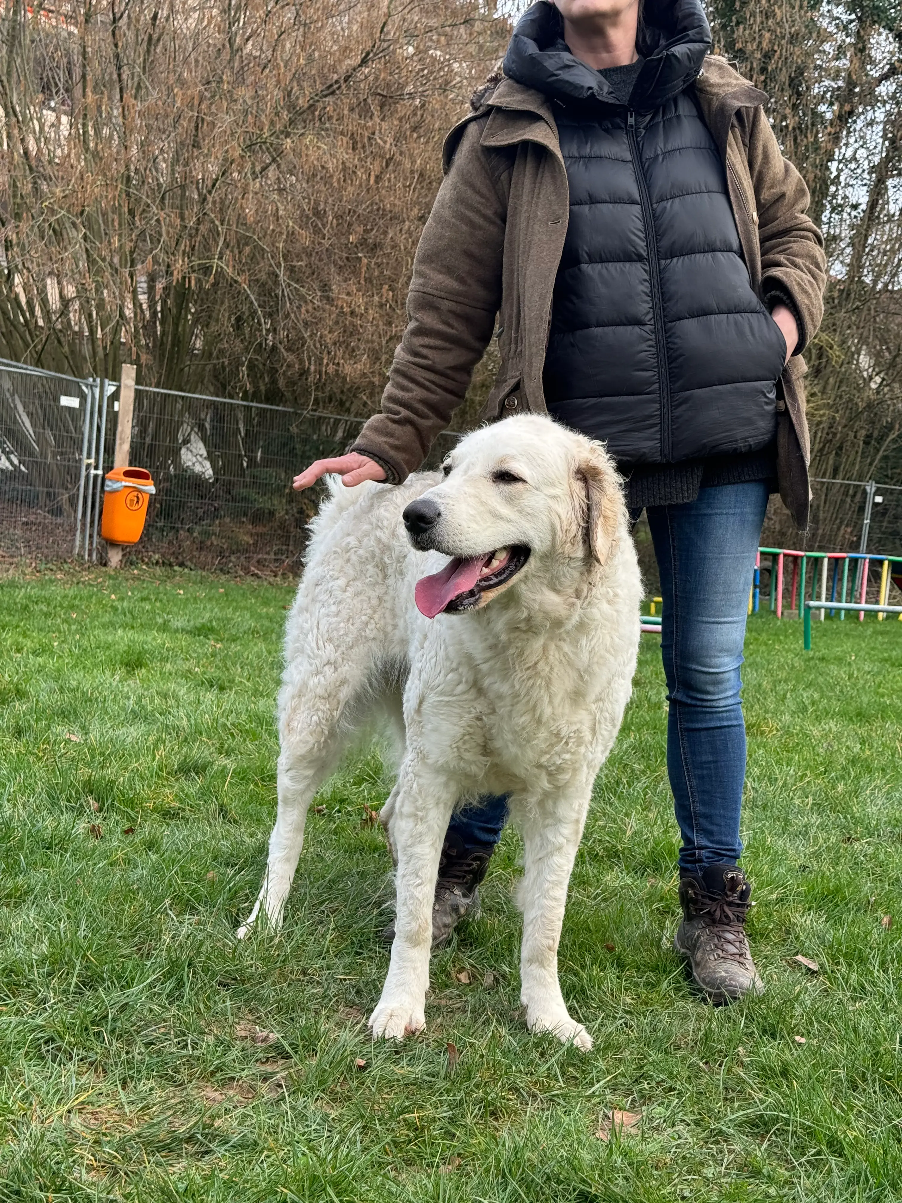 Eindruck 23 aus der Hunderbar Hundetrainer-Ausbildung