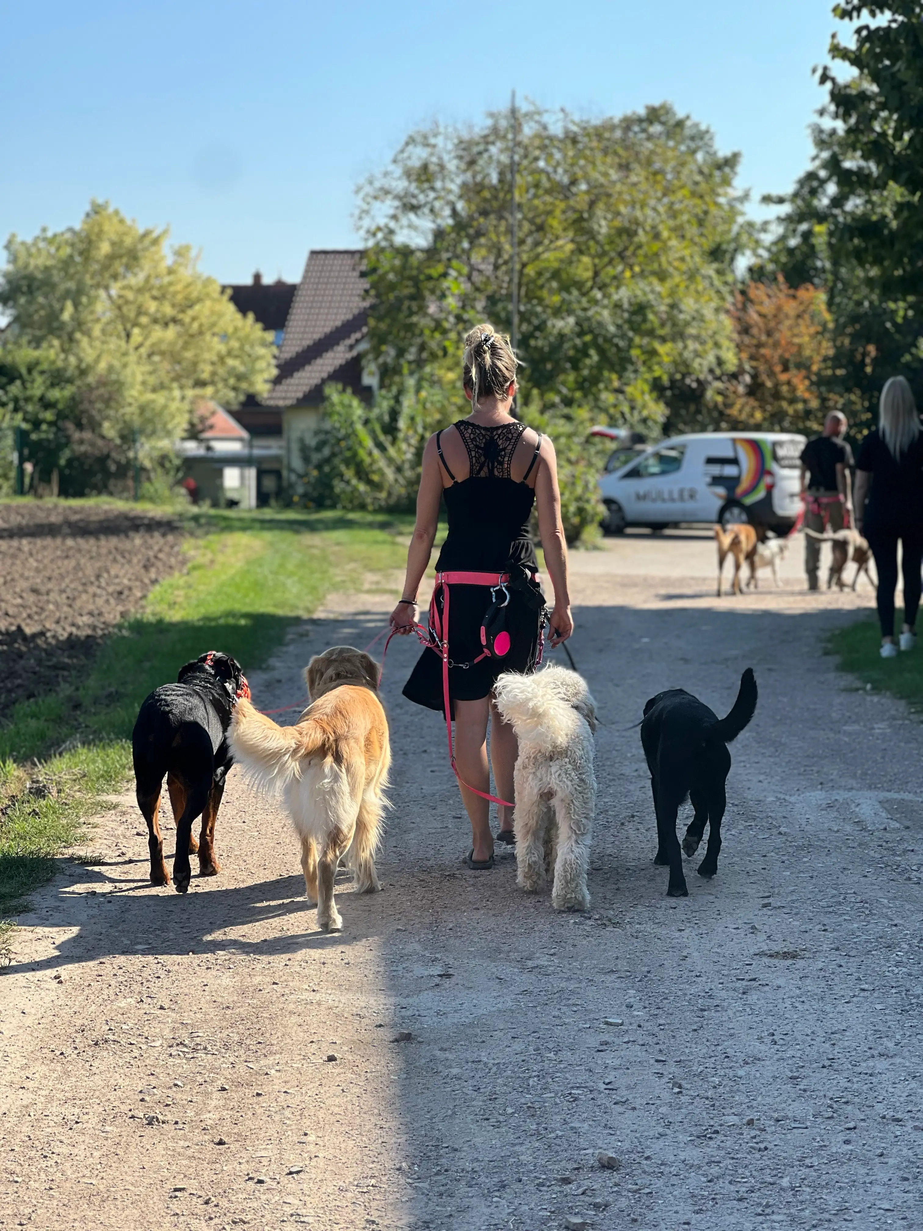 Eindruck 27 aus der Hunderbar Hundetrainer-Ausbildung