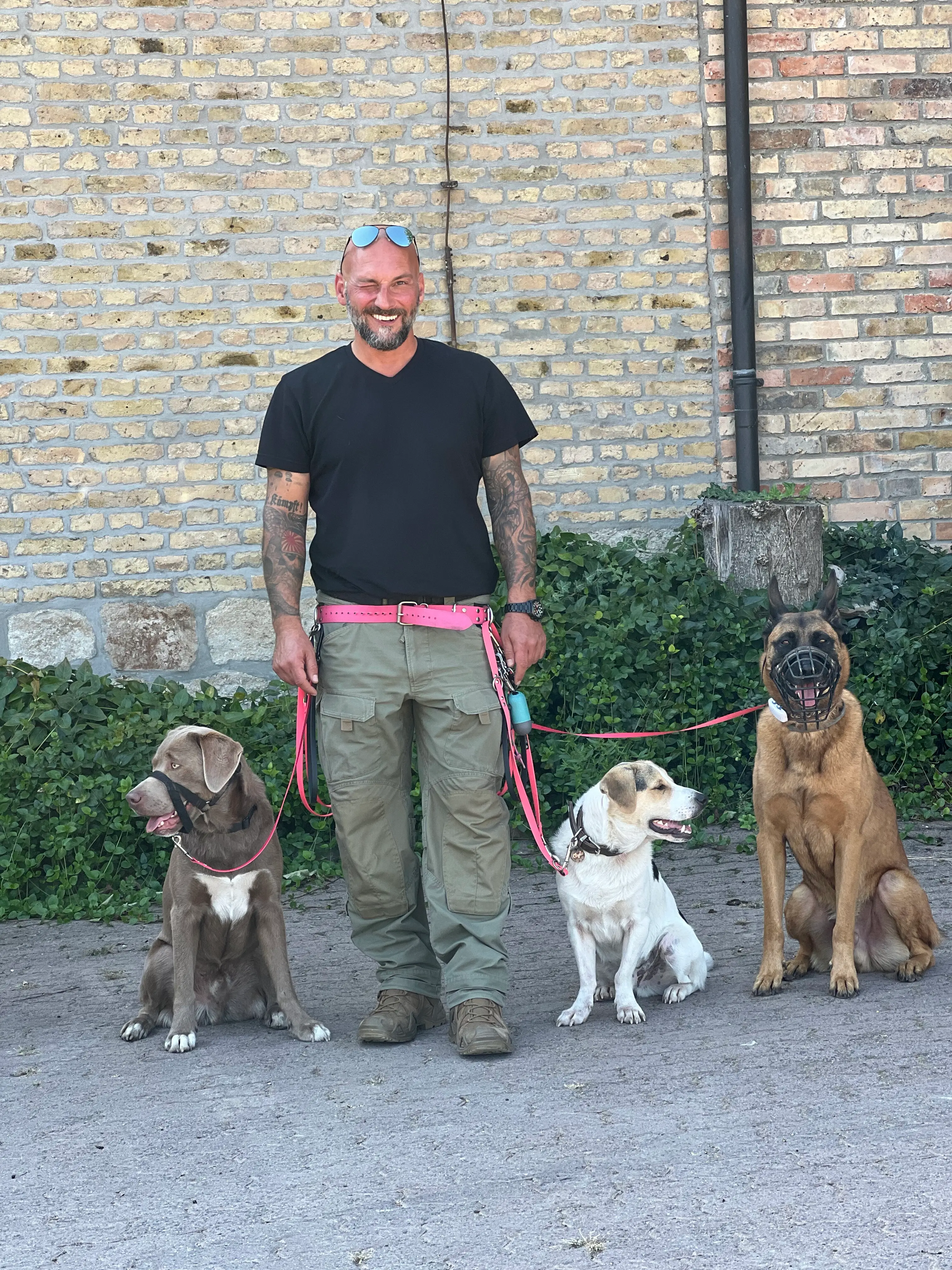 Eindruck 28 aus der Hunderbar Hundetrainer-Ausbildung