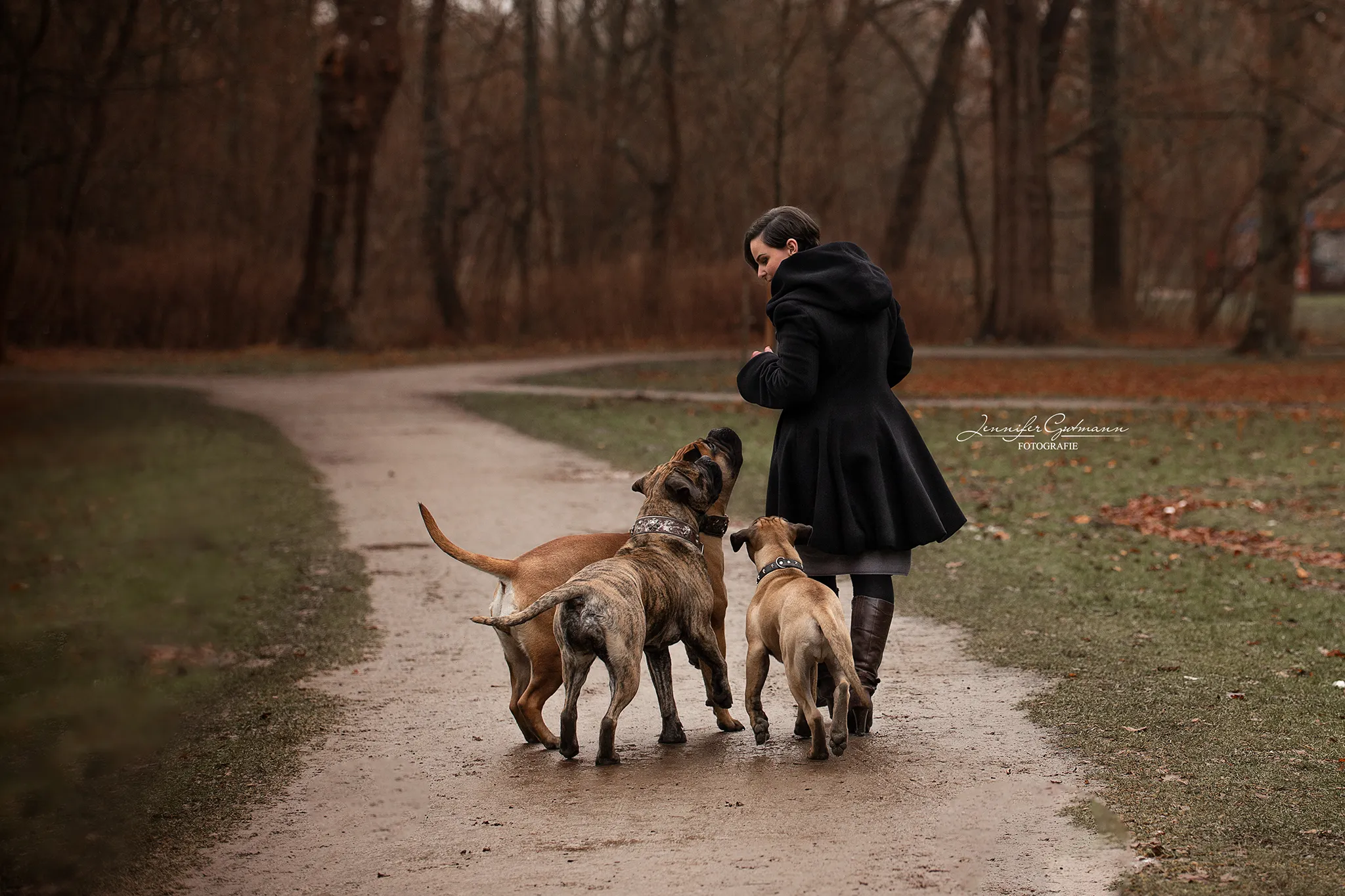Hund liegt entspannt auf einer Decke