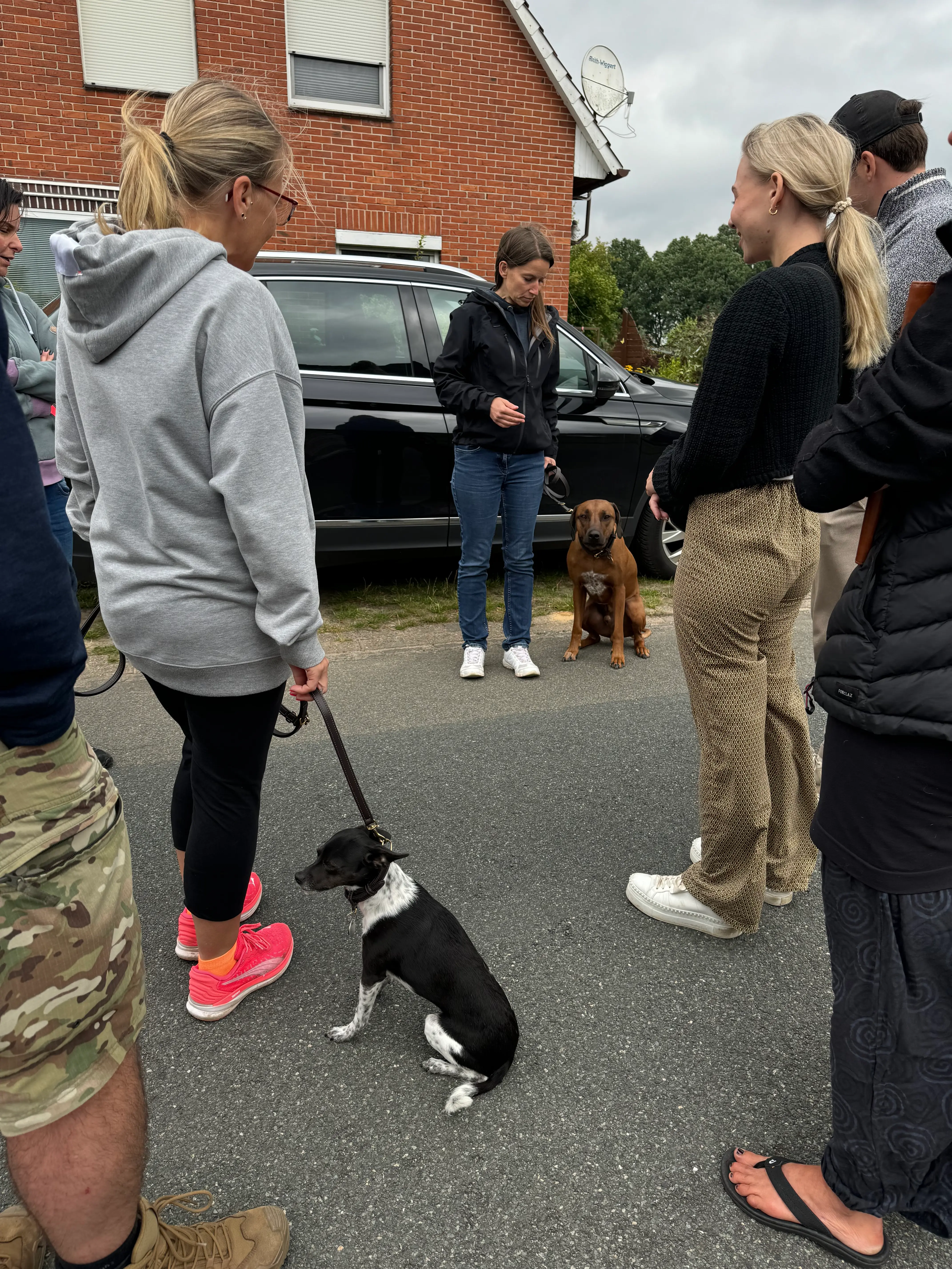 Eindruck 30 aus der Hunderbar Hundetrainer-Ausbildung