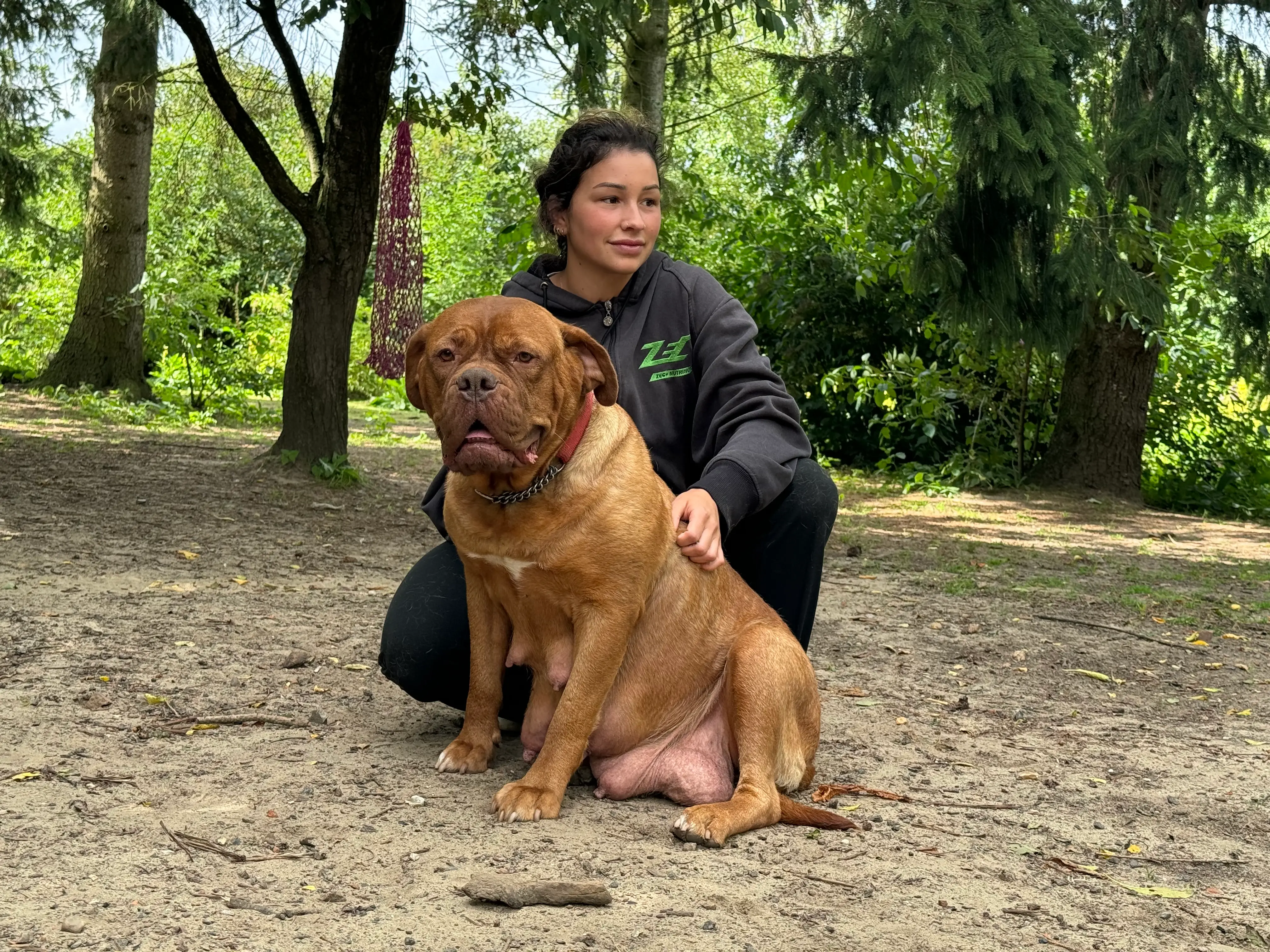 Eindruck 31 aus der Hunderbar Hundetrainer-Ausbildung