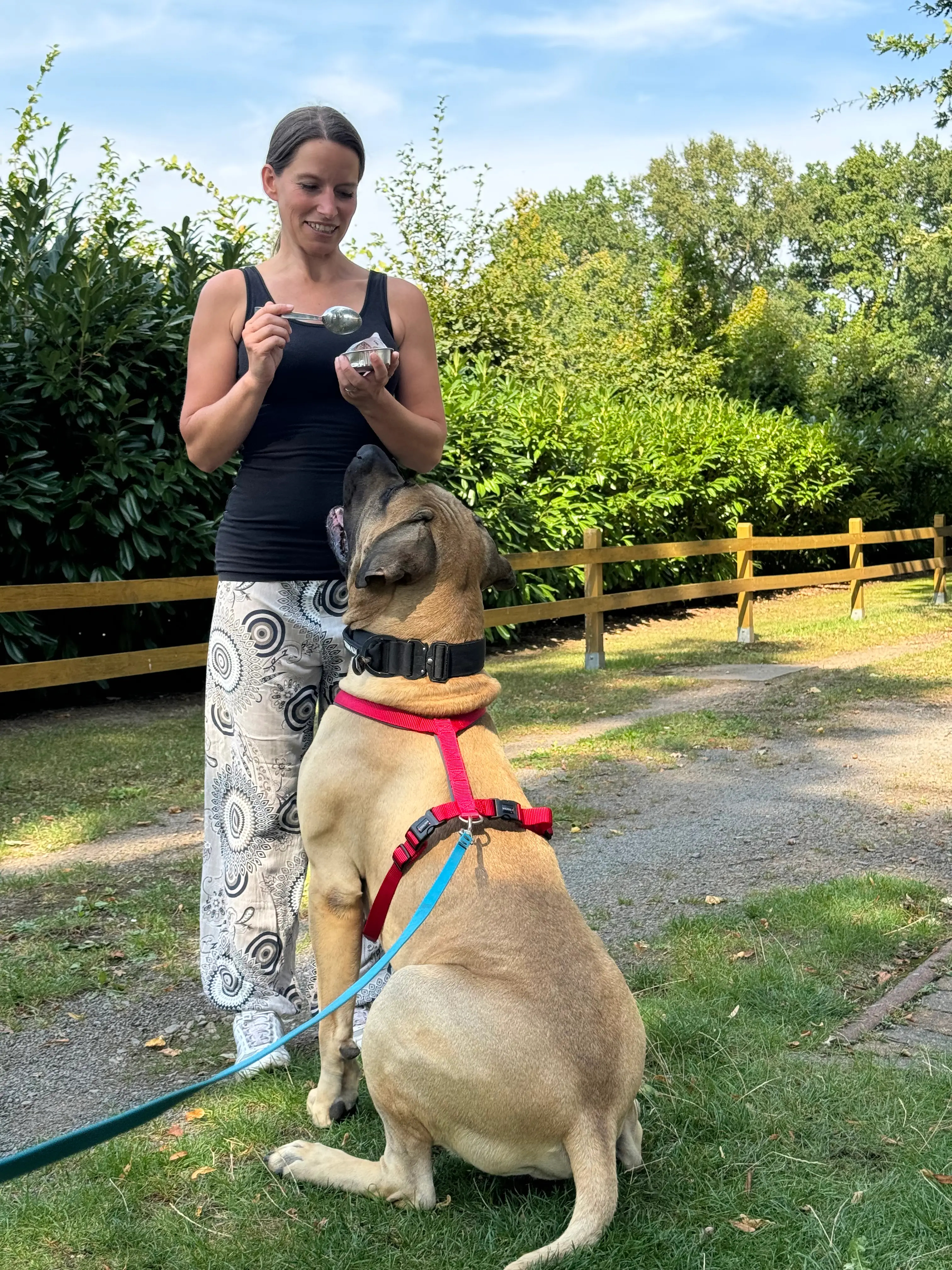 Eindruck 32 aus der Hunderbar Hundetrainer-Ausbildung