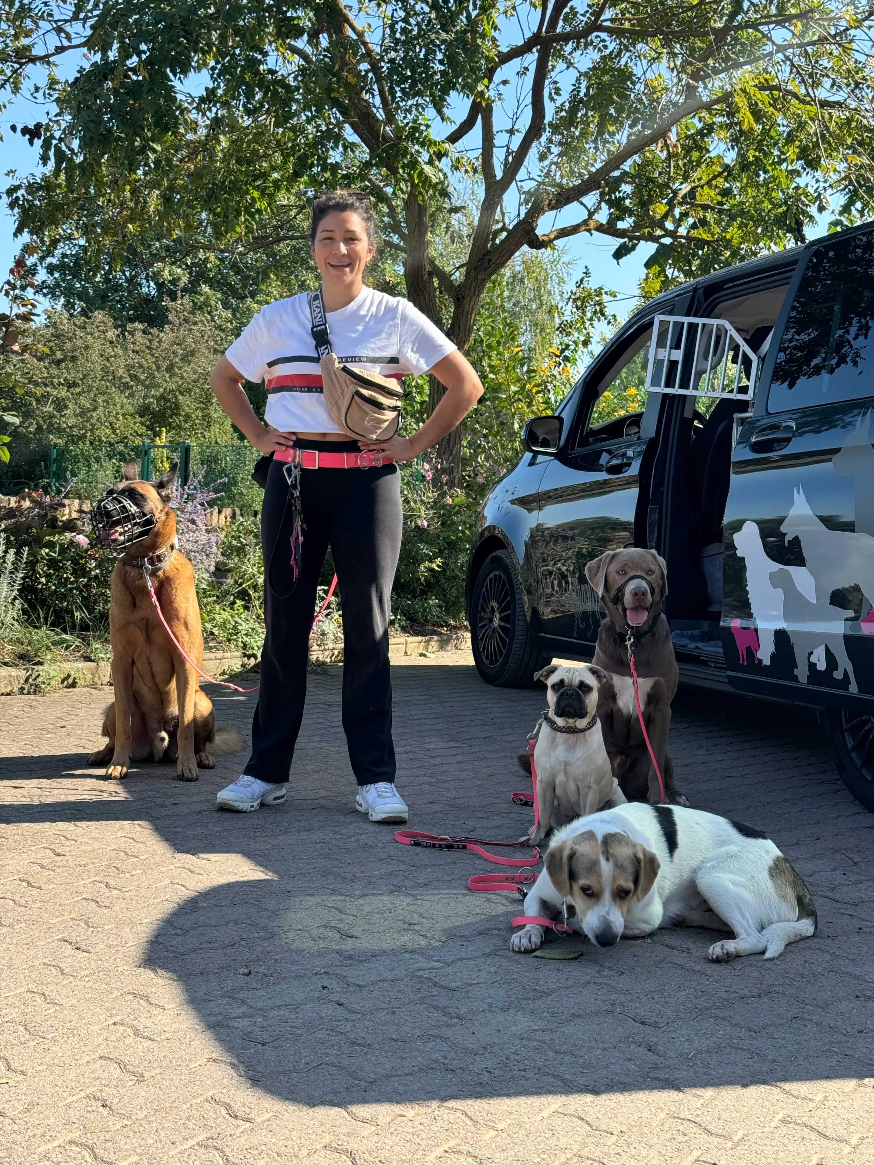 Eindruck 33 aus der Hunderbar Hundetrainer-Ausbildung