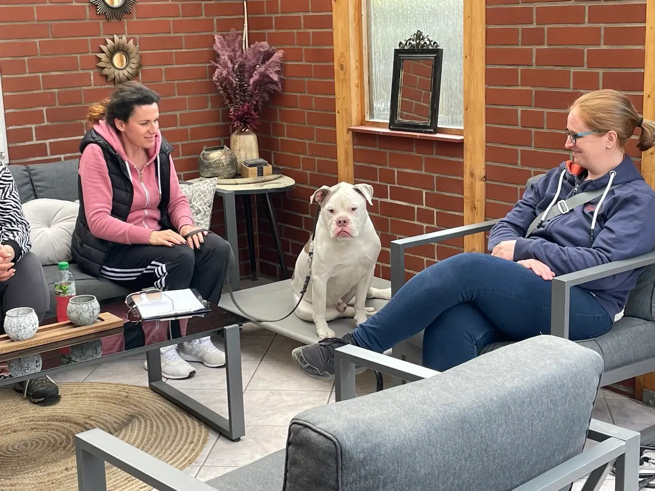 Eindruck 38 aus der Hunderbar Hundetrainer-Ausbildung