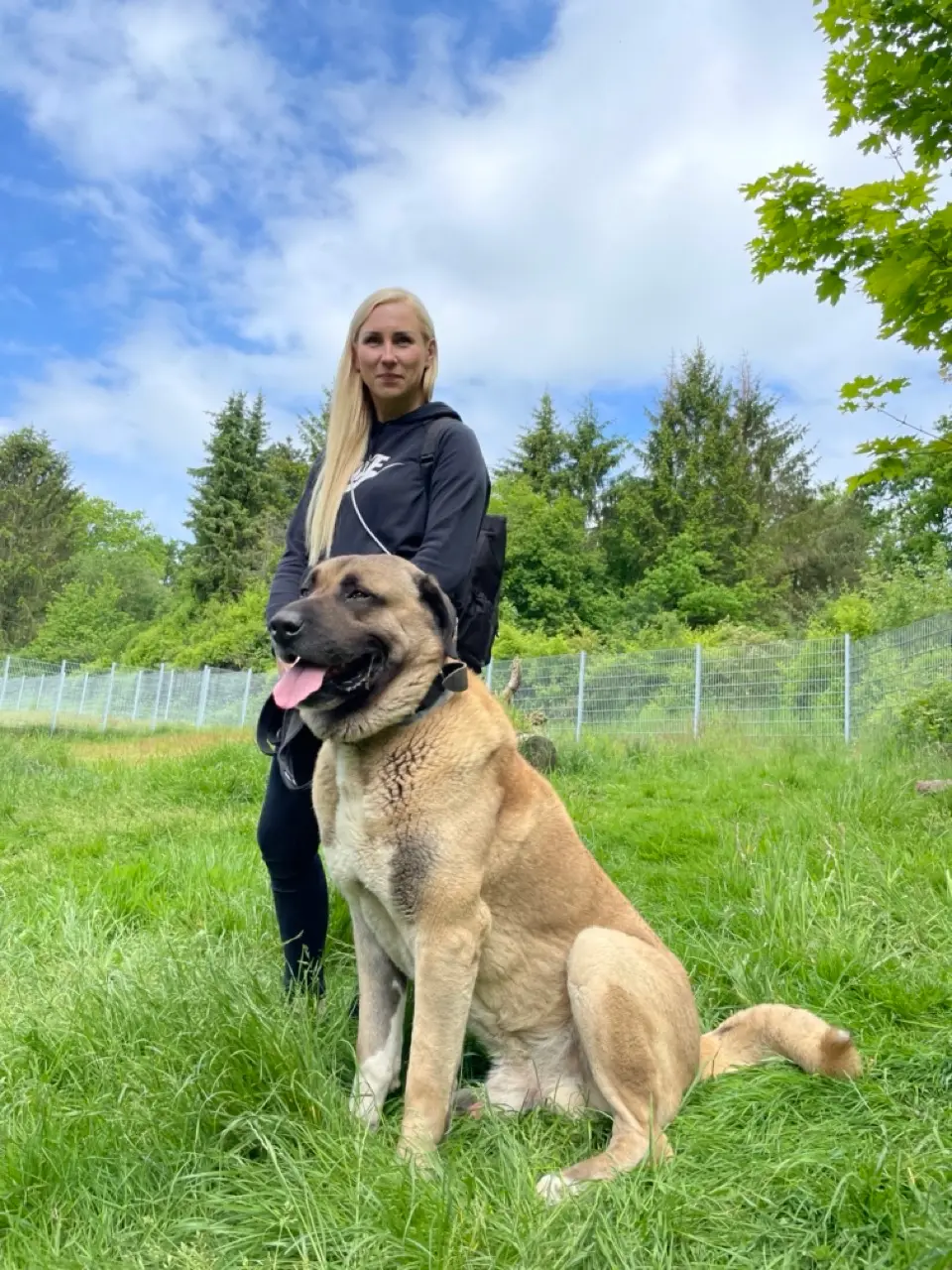 Eindruck 42 aus der Hunderbar Hundetrainer-Ausbildung