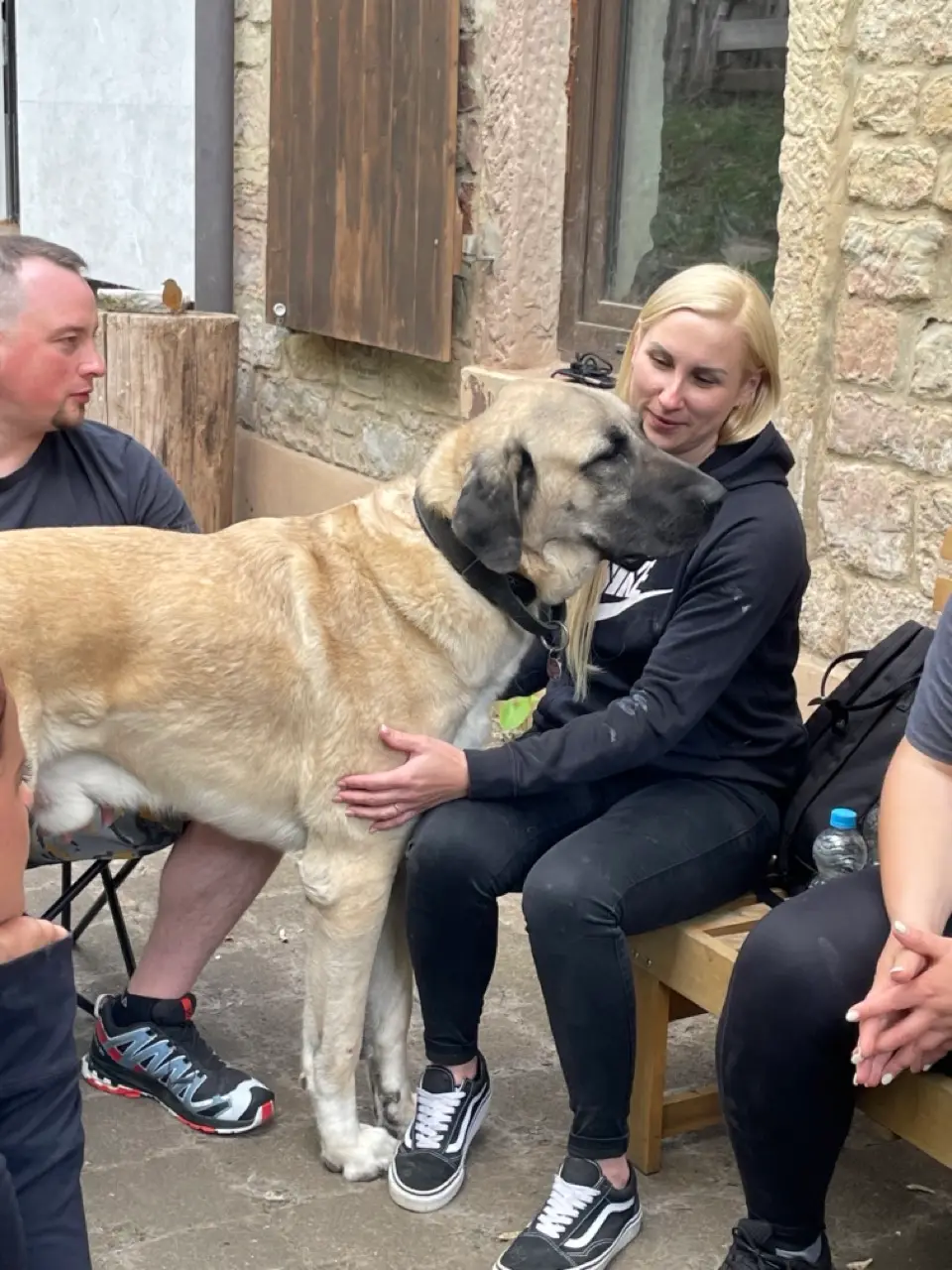 Eindruck 45 aus der Hunderbar Hundetrainer-Ausbildung