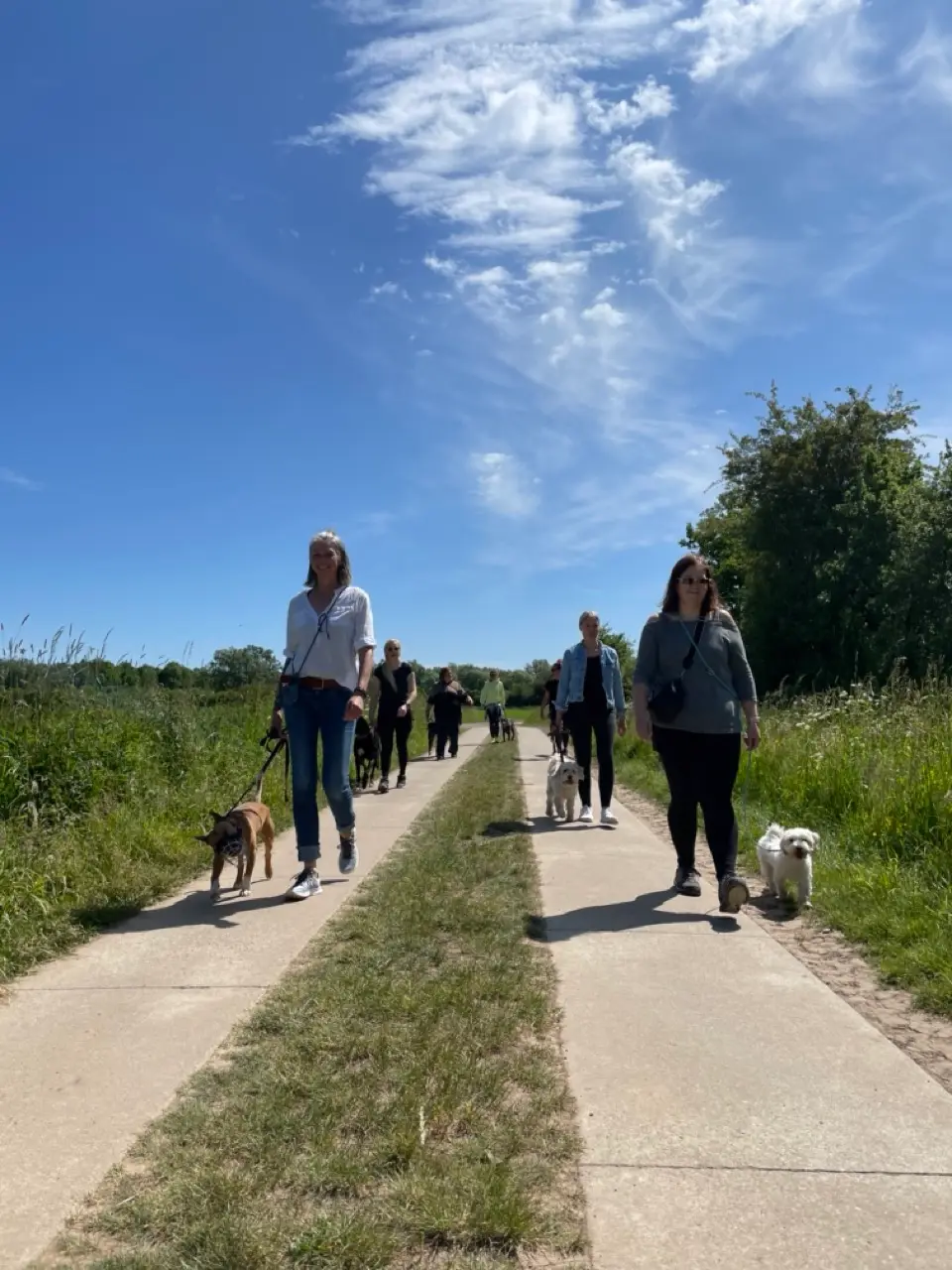 Eindruck 47 aus der Hunderbar Hundetrainer-Ausbildung