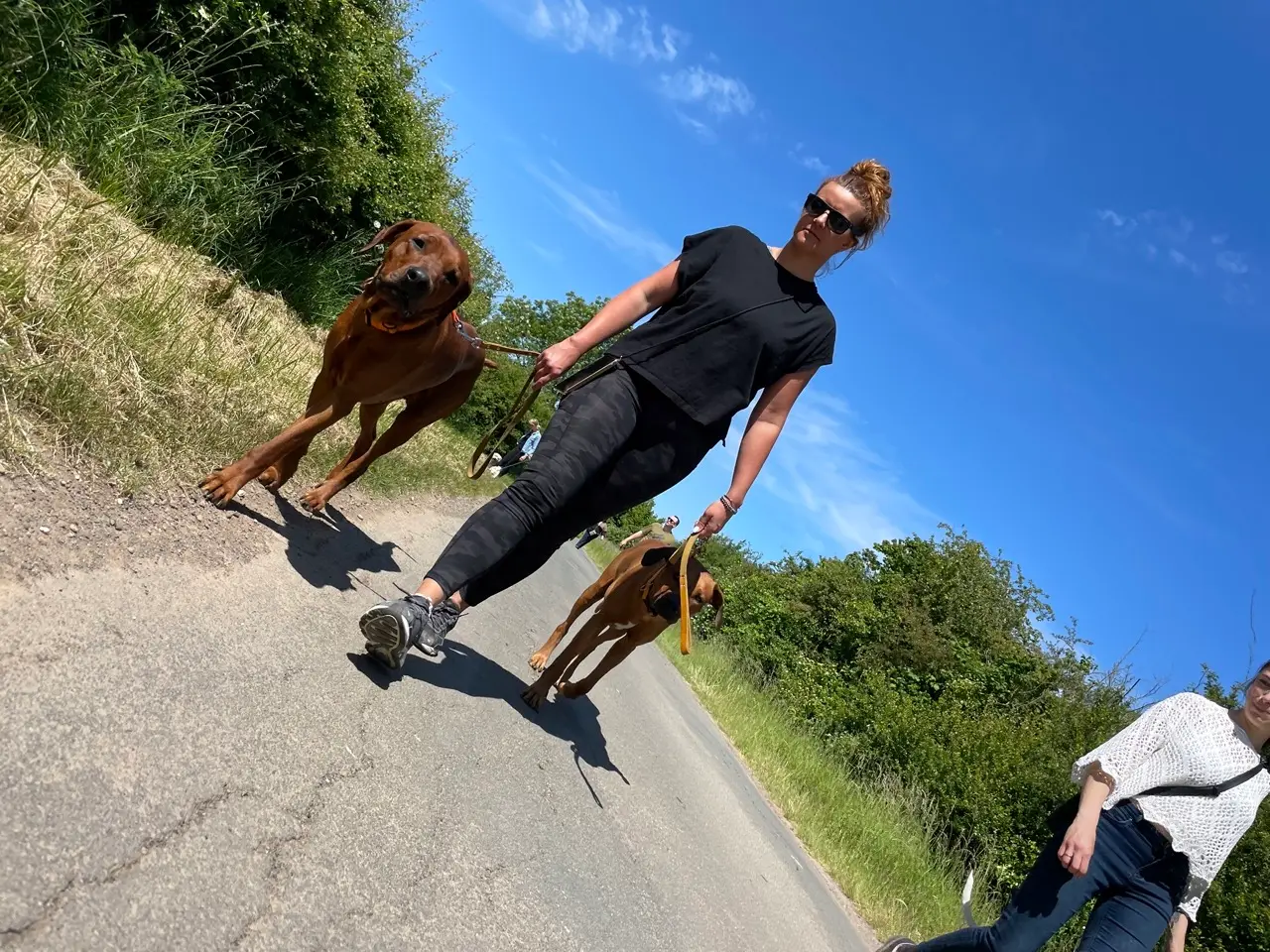 Eindruck 48 aus der Hunderbar Hundetrainer-Ausbildung