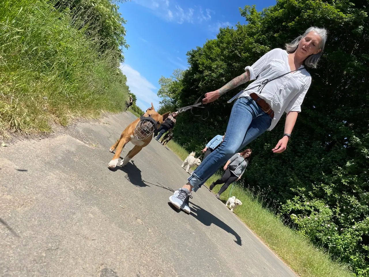 Eindruck 49 aus der Hunderbar Hundetrainer-Ausbildung