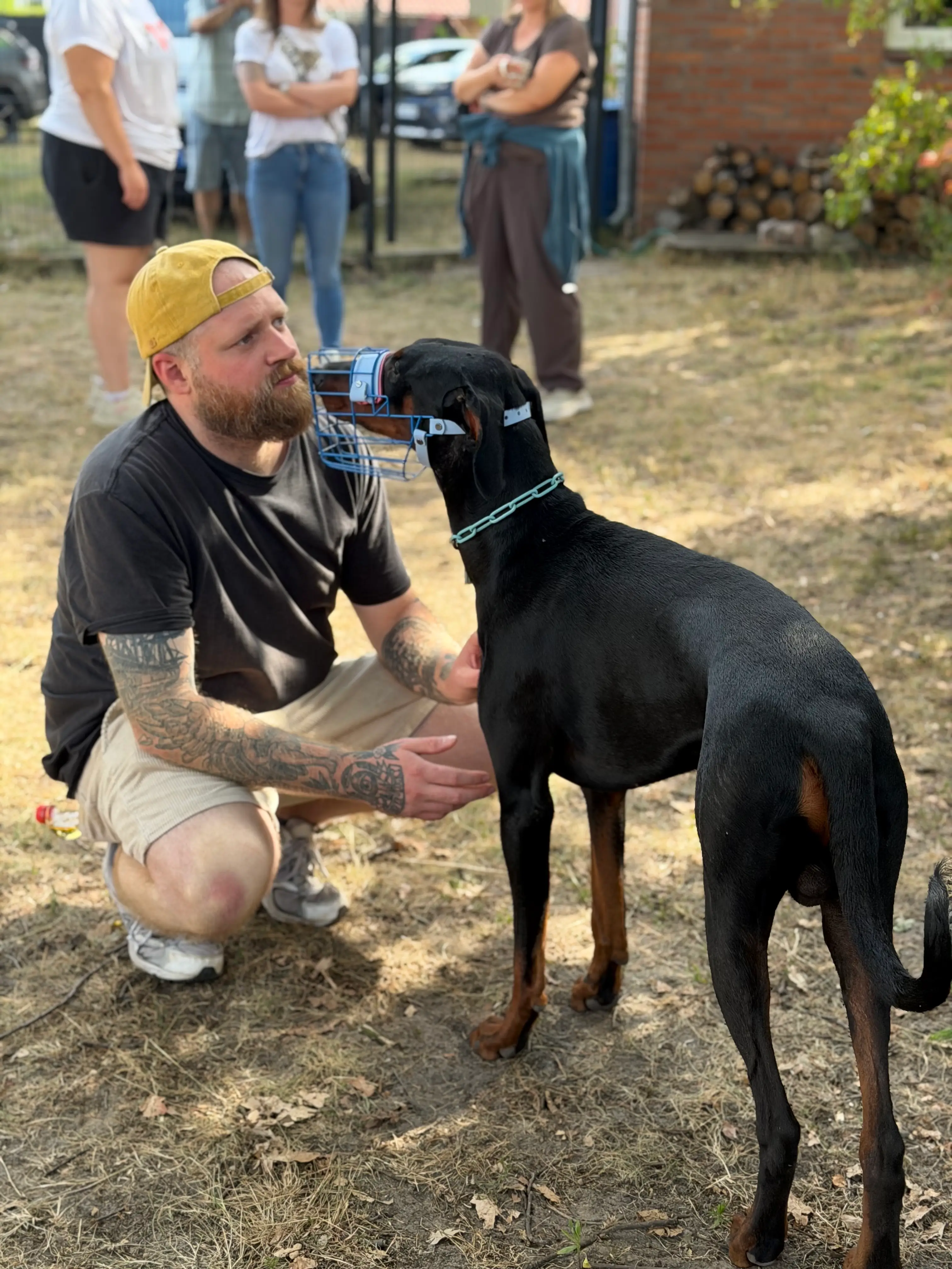Azubi der Hundetrainer-Ausbildung arbeitet praktisch und auf Augenhöhe mit einem Dobermann mit Maulkorb