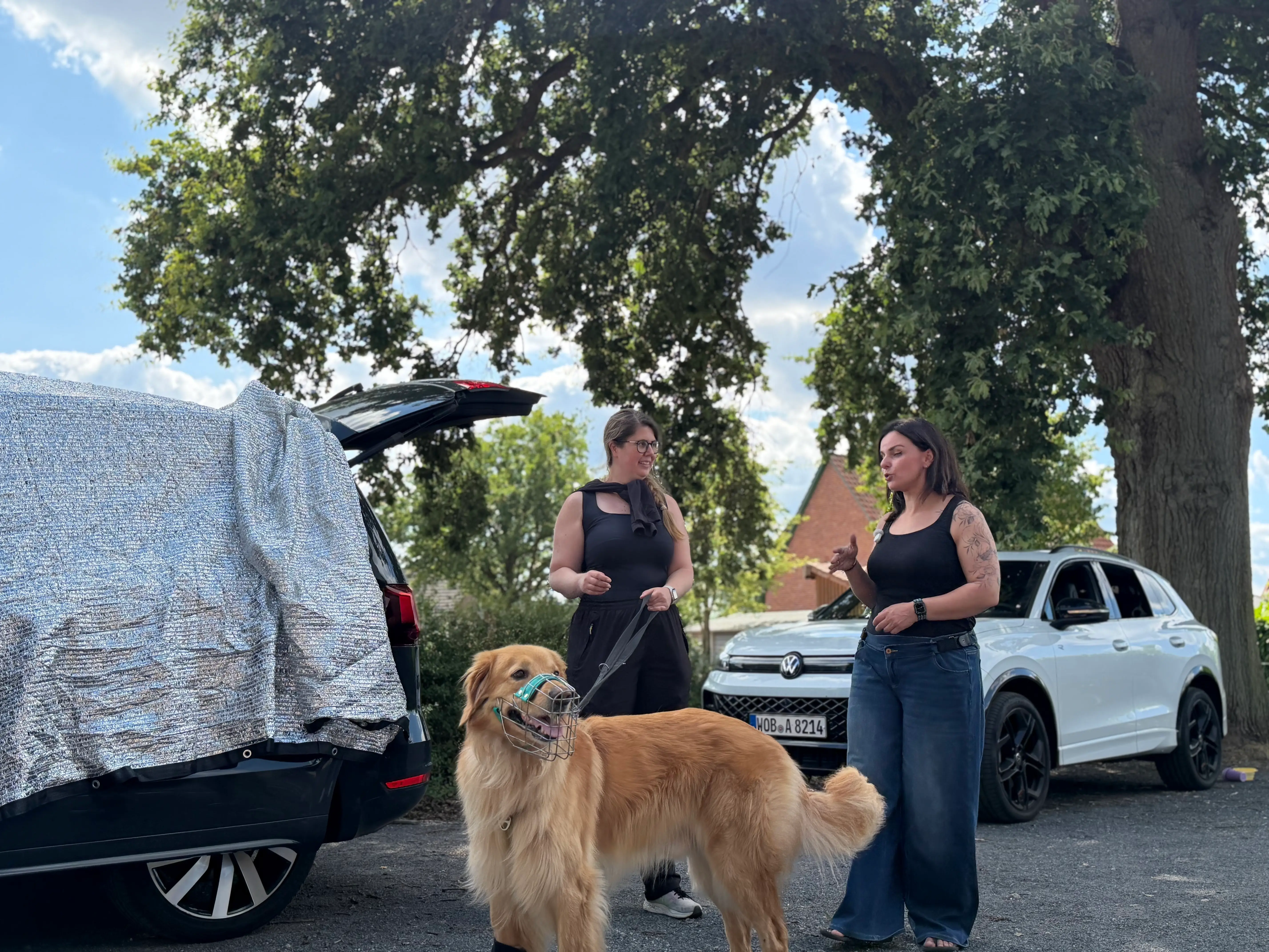 Erster Termin des Einzeltrainings: Start direkt am Auto mit Golden Retriever und Maulkorb