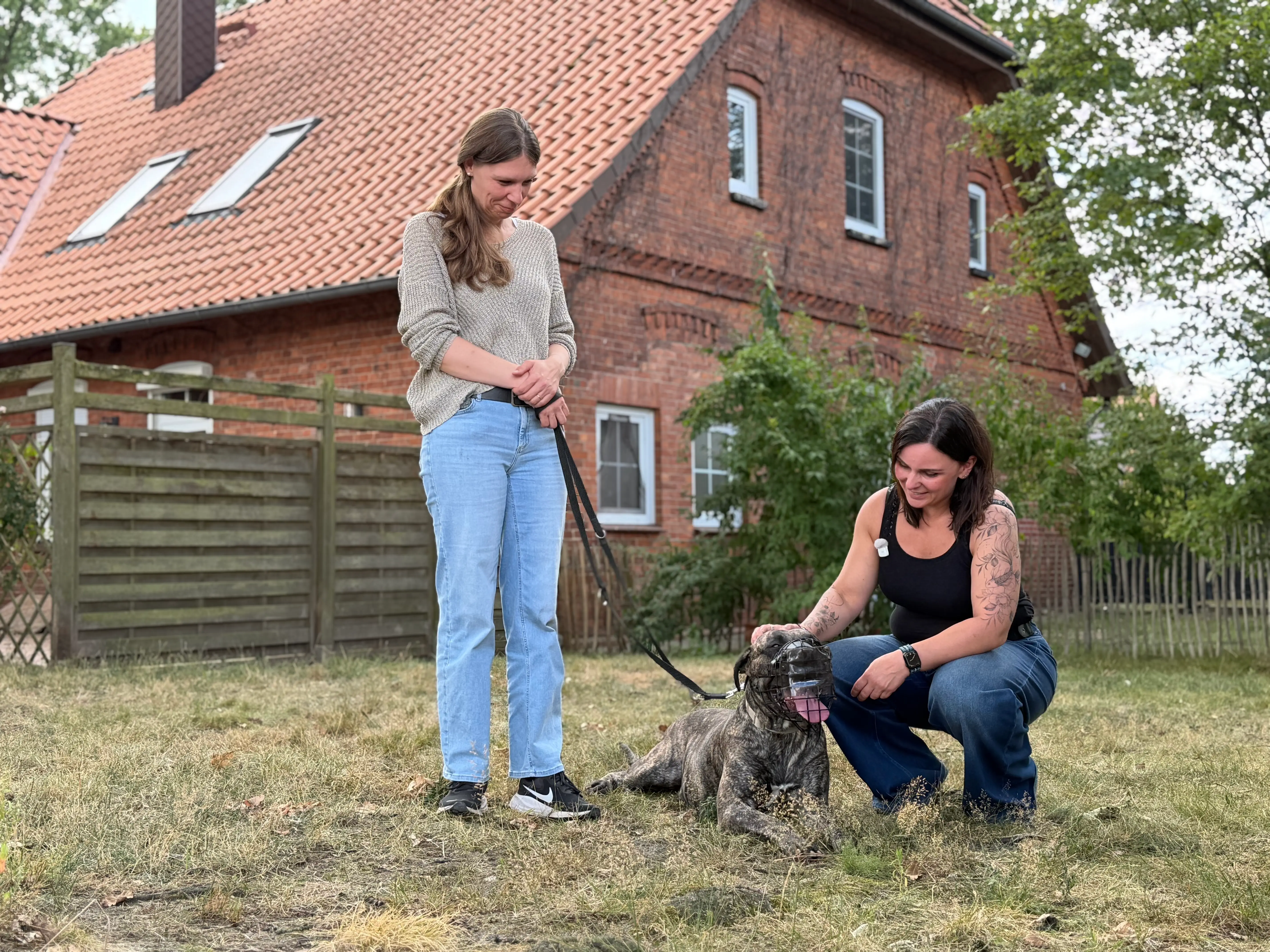 Vertrauensarbeit auf Augenhöhe: Hundetrainerin Katarina Ringsdorff mit Hund und Maulkorb im Einzeltraining